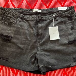 KanCan Women's Dark Gray Distressed Jean Shorts